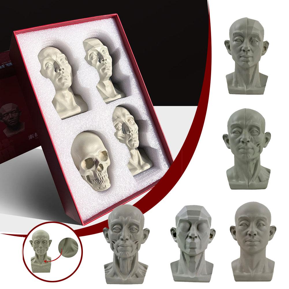 Resin Art Learning - Sanat Alçı Portre Öğretim Yardımcıları Simülasyon